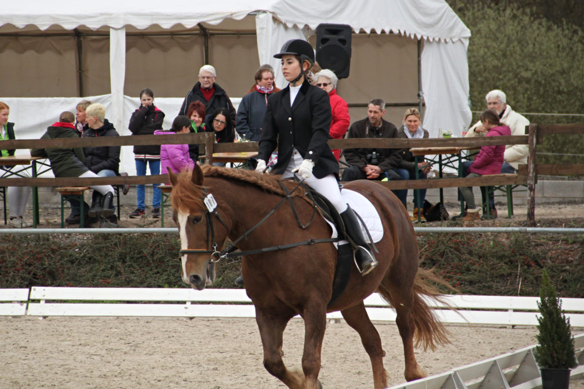 11-WB2-Tunier-2016.jpg