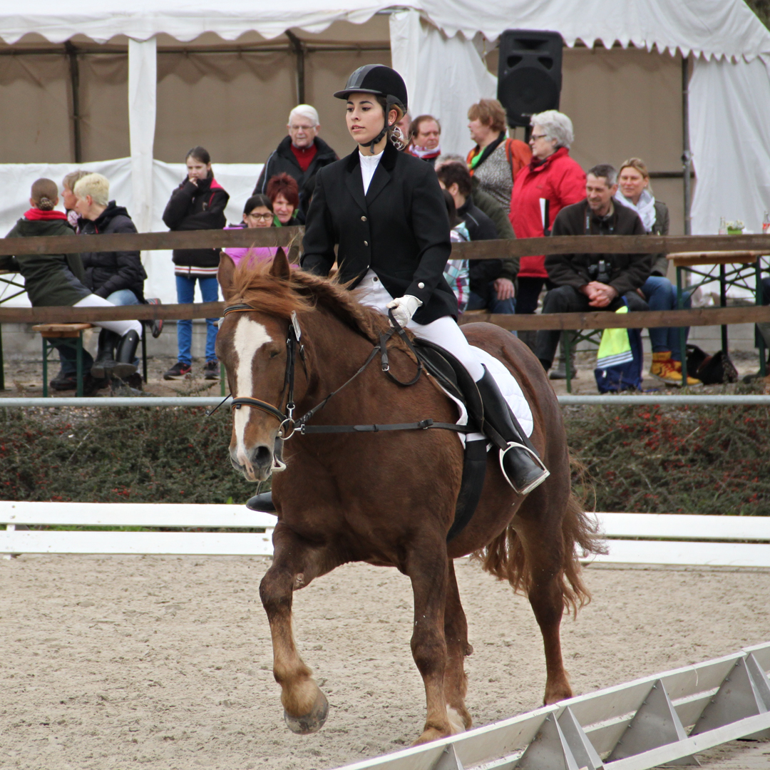 12-WB2-Tunier-2016.jpg