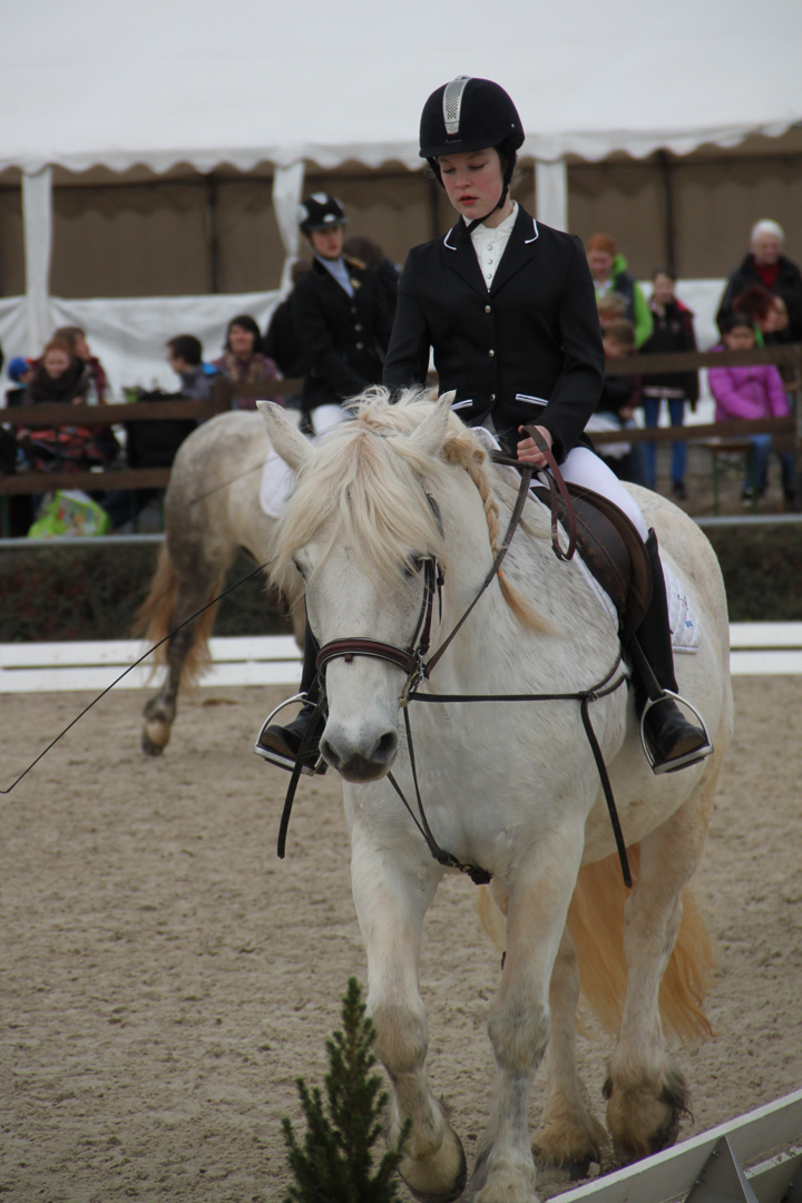 5-WB2-Tunier-2016.jpg
