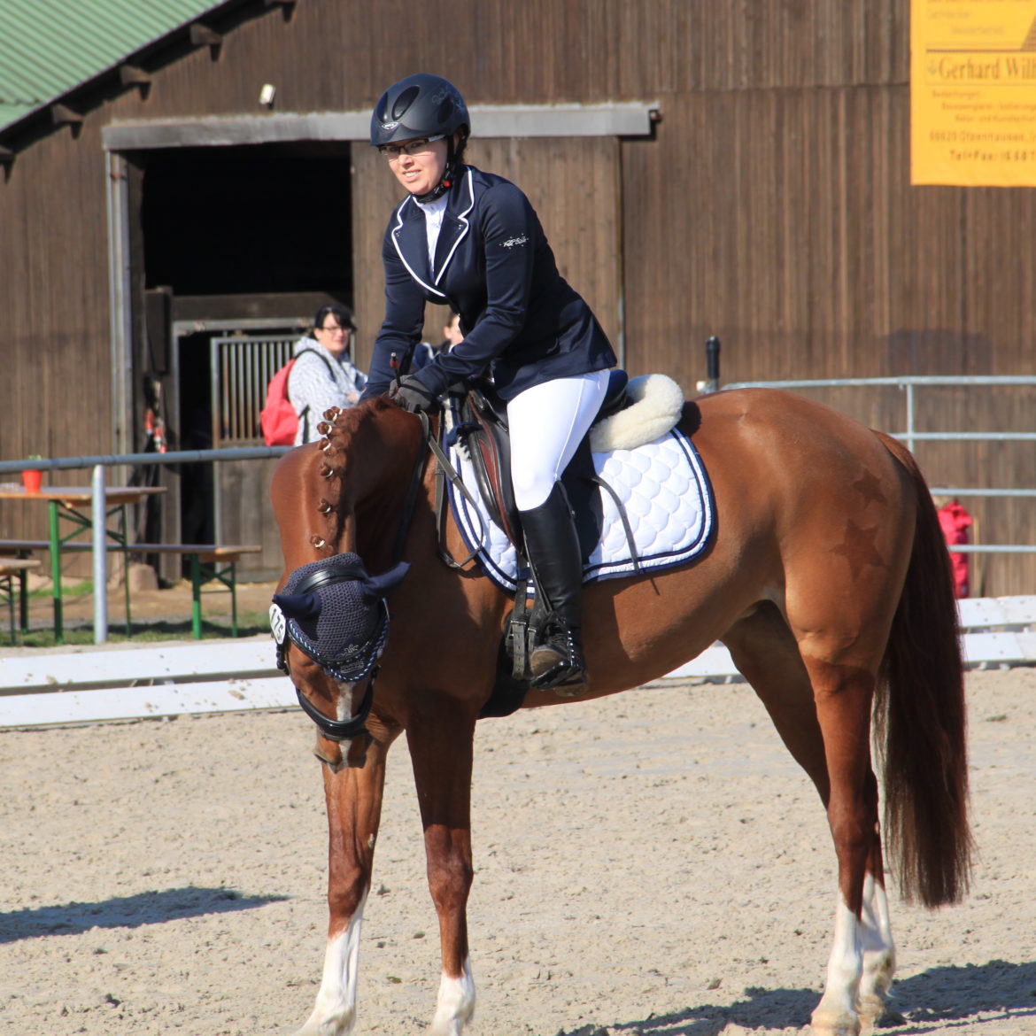 59-E_Dressur-Tunier-2016.jpg