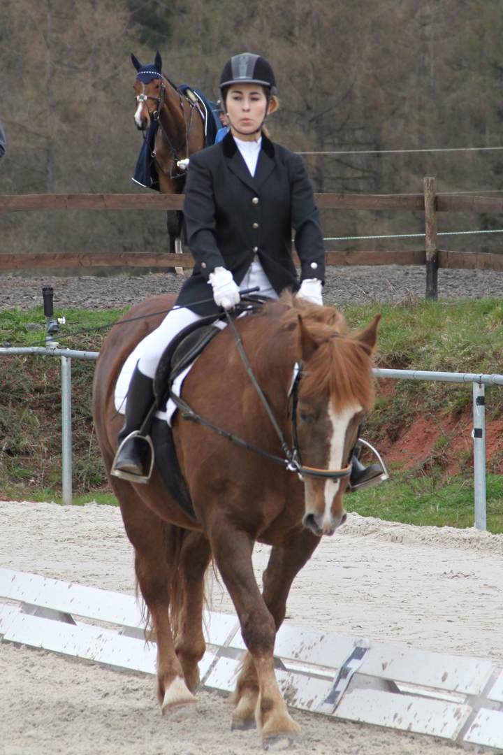8-WB2-Tunier-2016.jpg