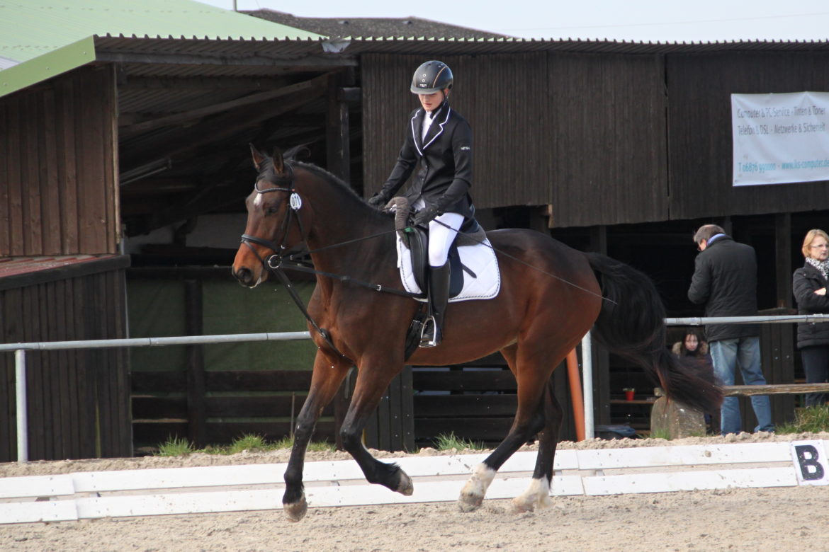 93-E_Dressur-Tunier-2016.jpg