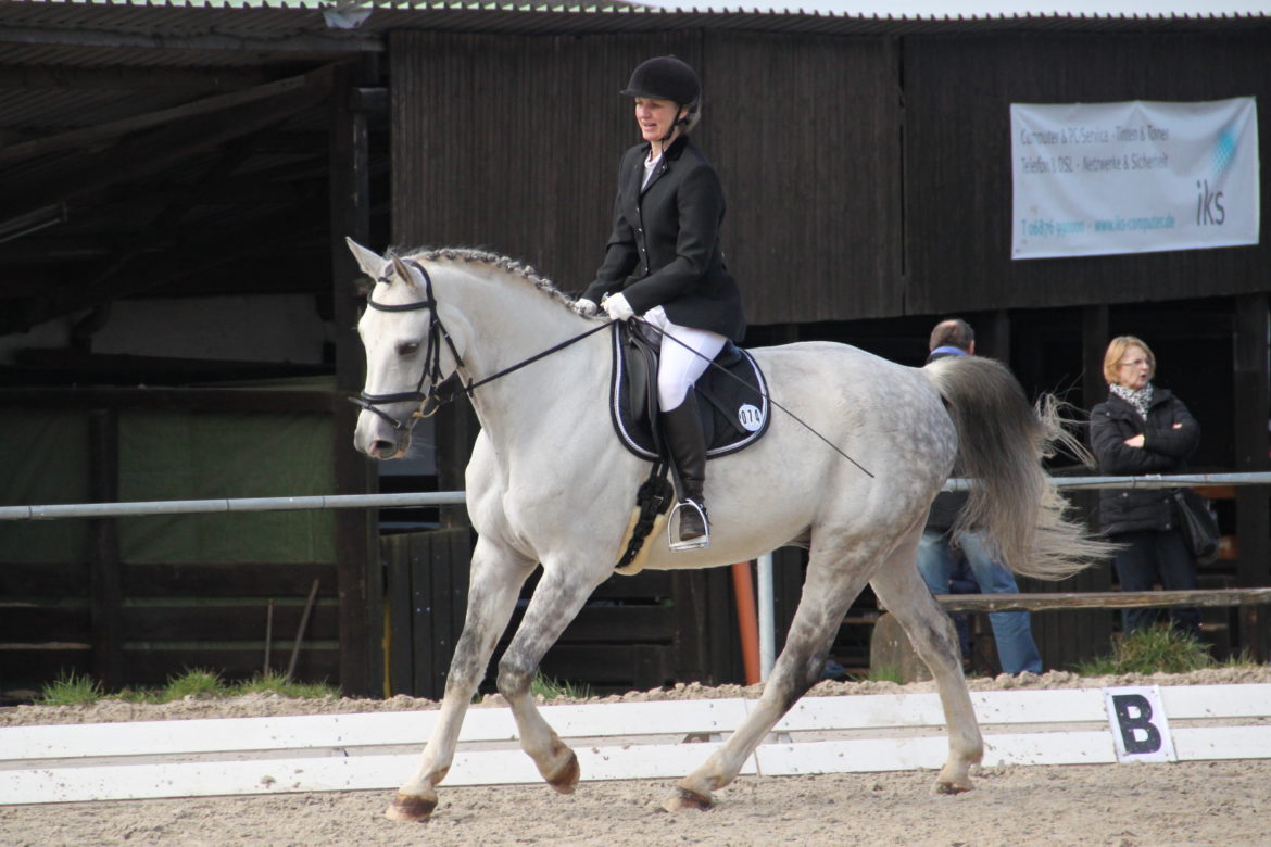 94-E_Dressur-Tunier-2016.jpg
