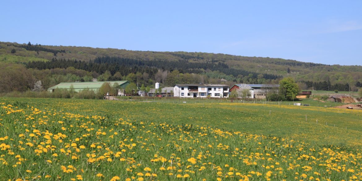 Frühlingsfoto-2015.jpg