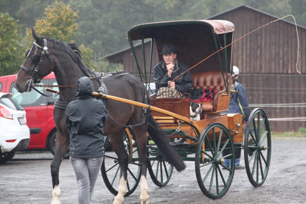 Kutschenrallye-2018-3.jpg